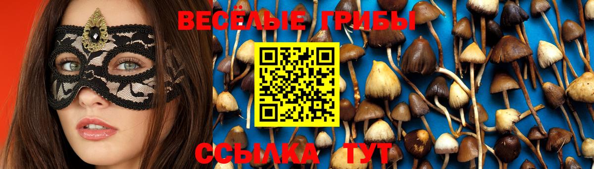 Галлюциногенные грибы Magic Shrooms  Галлюциногенные грибы Psilocybe  Строитель  Вход с VPN 